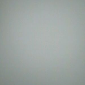 Meet your Posher, Charlotte